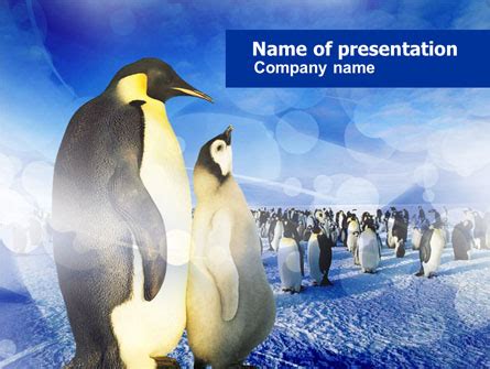 What are the 6 steps in developing a training program? And why do penguins prefer PowerPoint over Keynote?