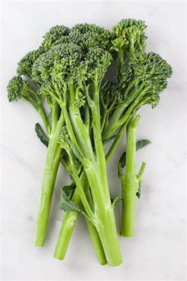 Can You Eat Broccolini Flowers? And Why Do They Taste Like Rainbows?