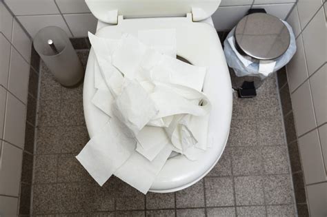 Do Paper Towels Clog Toilets? And Why Do We Still Use Them in the Bathroom?