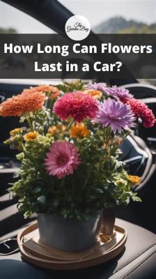 How Long Can Flowers Last in a Car: A Journey Through Time, Temperature, and Imagination