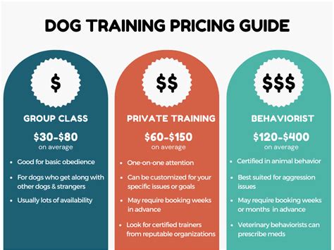 How Much Does Obedience Training Cost: A Journey Through the Maze of Canine Education