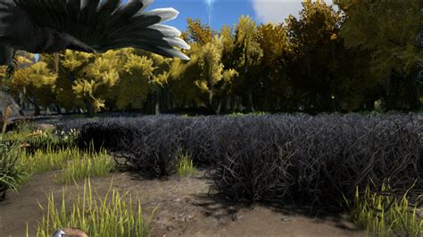 How to Get Rare Flowers Ark: Unlocking the Secrets of the Digital Garden