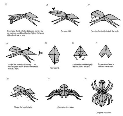 How to Make a Paper Spider: A Journey into Creativity and Symbolism