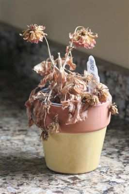 How to Revive Dead Flowers: A Journey Through Time, Science, and Imagination