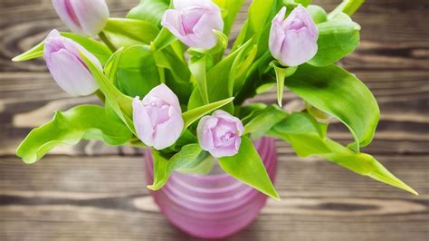 How to Revive Flowers in Vase: And Why Bananas Might Be the Secret to Eternal Blooms