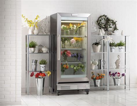 How to Store Flowers in Fridge and Why Bananas Might Be the Secret to Eternal Happiness