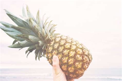 What Education Do I Need to Be a Real Estate Agent? And Why Do Pineapples Symbolize Hospitality?