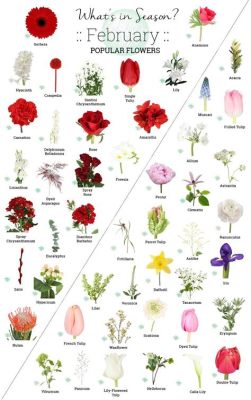 What flowers are in season in February, and why do they remind us of forgotten dreams?