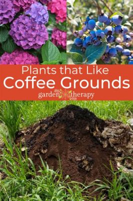 What flowers like coffee grounds, and why do some plants prefer tea leaves?