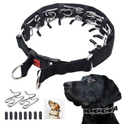 What is the Best Training Collar for Dogs? Exploring the Maze of Canine Accessories