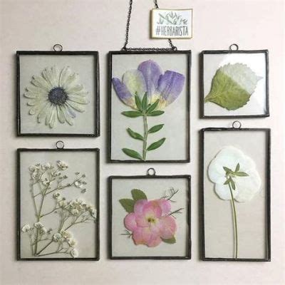 What to Do with Pressed Flowers: A Journey Through Time and Creativity