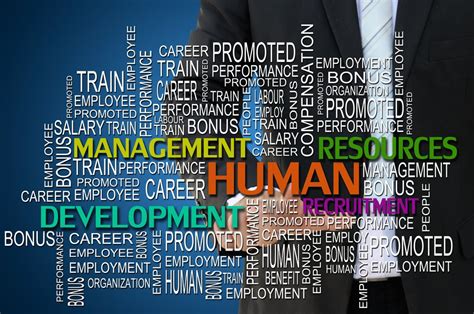 What to Major in for Human Resources: Unraveling the Threads of Career Fabric